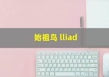 始祖鸟 lliad